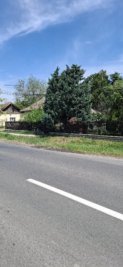 Gyomaendrőd, Kondorosi út 23.: lakóház · 3 000 000 Ft – árverés