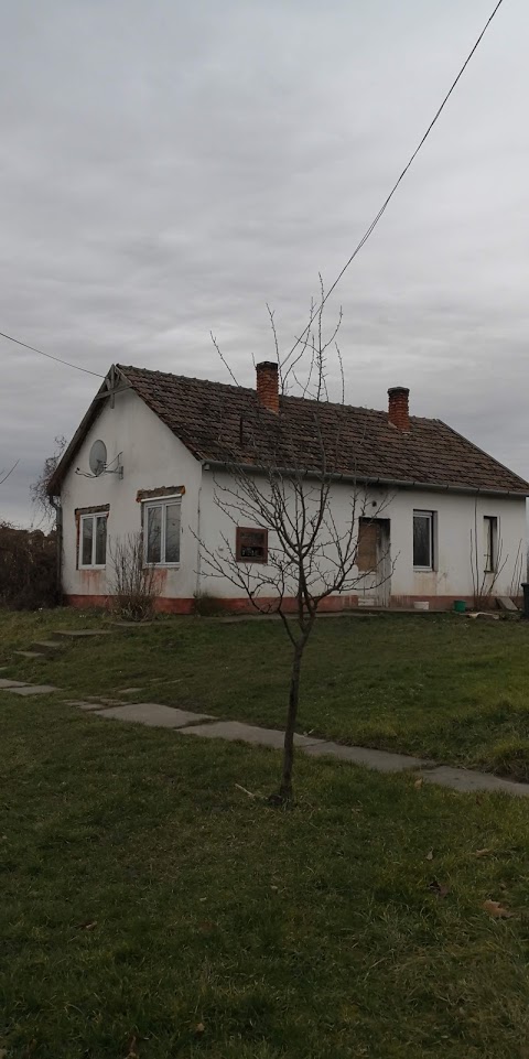 Geszt, József Attila utca 14: lakóház · 260 000 Ft – árverés