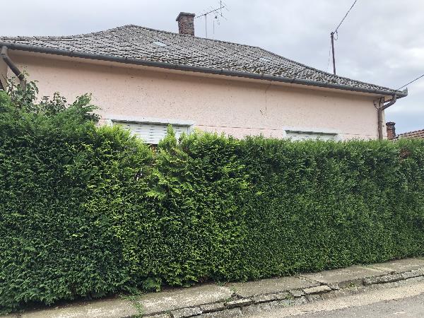 Csurgó, Petőfi utca 69.: lakóház · 15 000 Ft – árverés