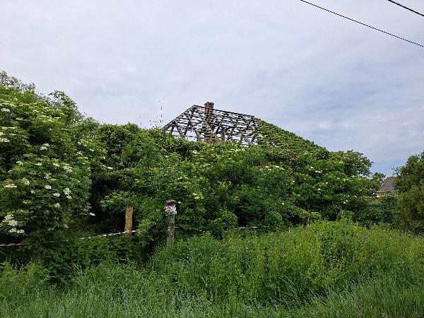 9339 Kapuvár, Petőfi utca 18.: lakóház · 875 000 Ft – ingatlanárverés