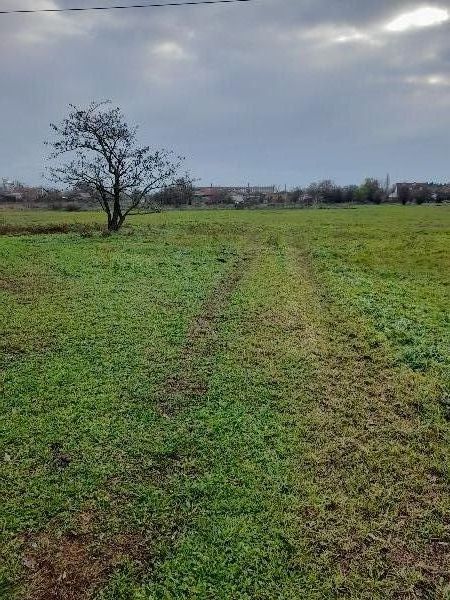 5000 Szolnok, Törteli utca: 1 622 500 Ft – ingatlanárverés