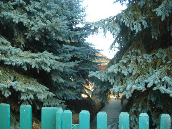 Békéscsaba, Szepesi utca