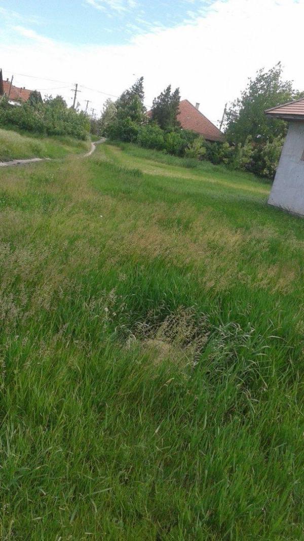 Szeghalom, Újtelep V. utca 27.: 52 500 Ft – árverés