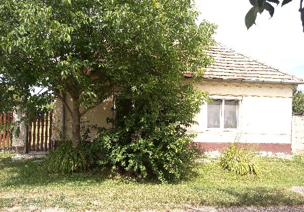 Darnózseli, Dózsa Gy. utca