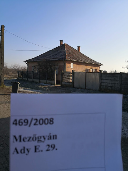 Mezőgyán, Ady Endre utca  29.: lakóház · 262 500 Ft – árverés