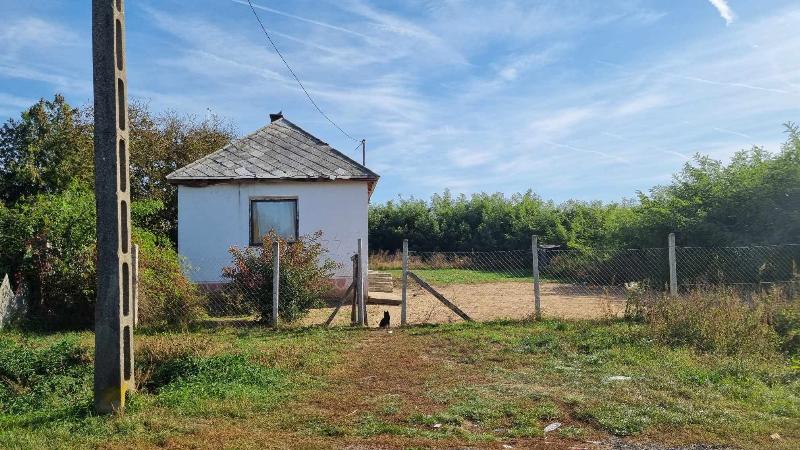 Székely, Illyés Gyula út 44.: lakóház · 595 000 Ft – árverés