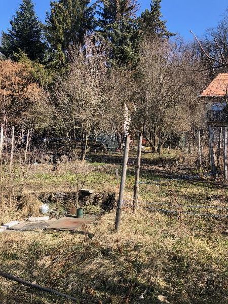 Remeteszőlős, Banka utca