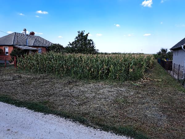 Pusztaszabolcs, Akácfa utca 48.: 3 000 000 Ft – árverés