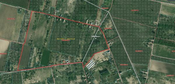 Szelevény, Halesz Dűlő: gazdasági épület · 50 000 Ft – árverés