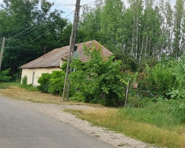 7013 Cece, Szabó Lőrinc utca 1: lakóház · 330 000 Ft – ingatlanárverés