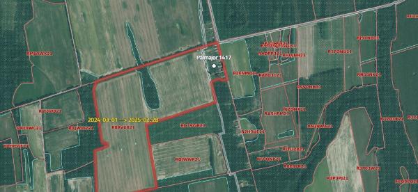 Pálmajor, Akácfa utca 31.: lakóház · 105 000 Ft – árverés