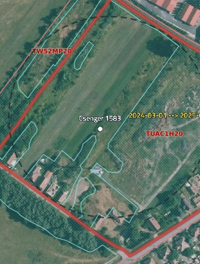 4765 Csenger, Tisza utca 101.: lakóház · 180 250 Ft – ingatlanárverés