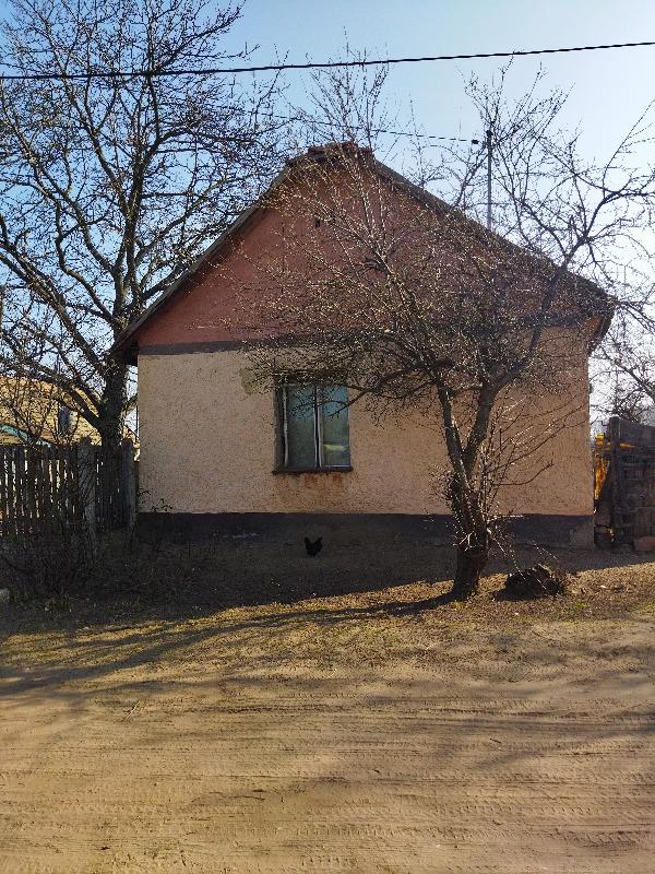 4251 Hajdúsámson, Kút utca 12: 1 640 625 Ft – ingatlanárverés