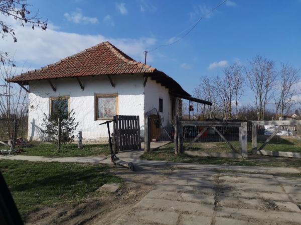 5530 Vésztő, Nagy Sándor utca 14.: 23 335 Ft – ingatlanárverés