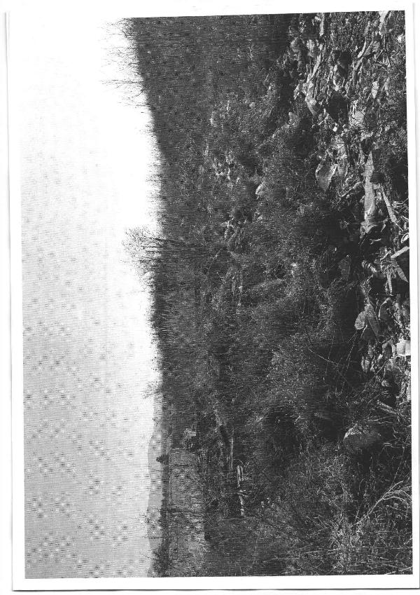 3849 Forró, Ady Endre út 71.: 432 000 Ft – ingatlanárverés