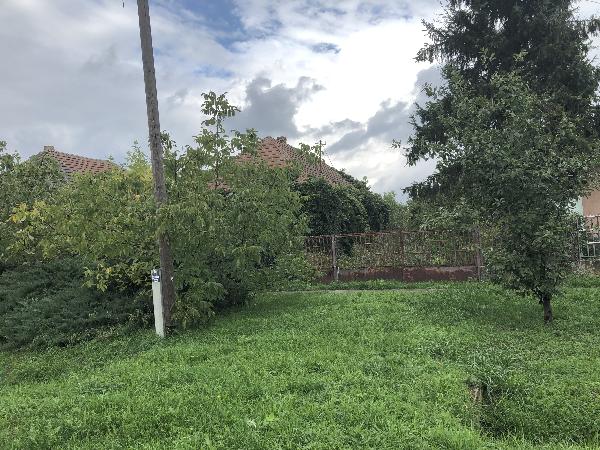4834 Tiszakerecseny, Alkotmány utca 13.: 800 000 Ft – ingatlanárverés
