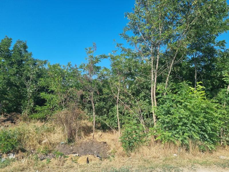 2451 Ercsi, Nefelejcs utca 41.: lakóház · 206 181 Ft – ingatlanárverés
